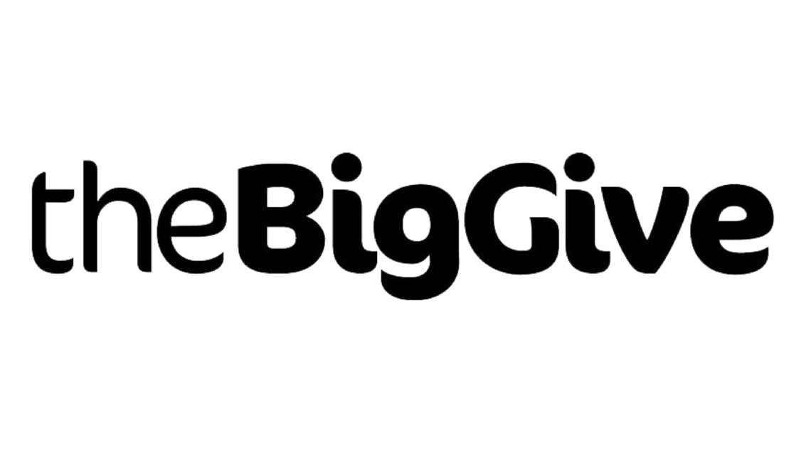 the Big Give logo